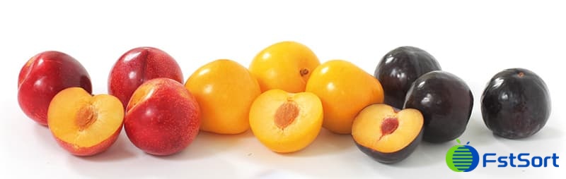 images/1739172975771stone fruits.jpg